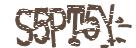 驗證碼圖片