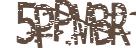 驗證碼圖片