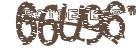 驗證碼圖片
