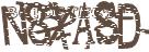 驗證碼圖片