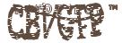 驗證碼圖片