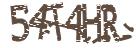 驗證碼圖片