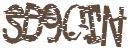 驗證碼圖片
