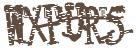 驗證碼圖片