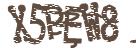 驗證碼圖片