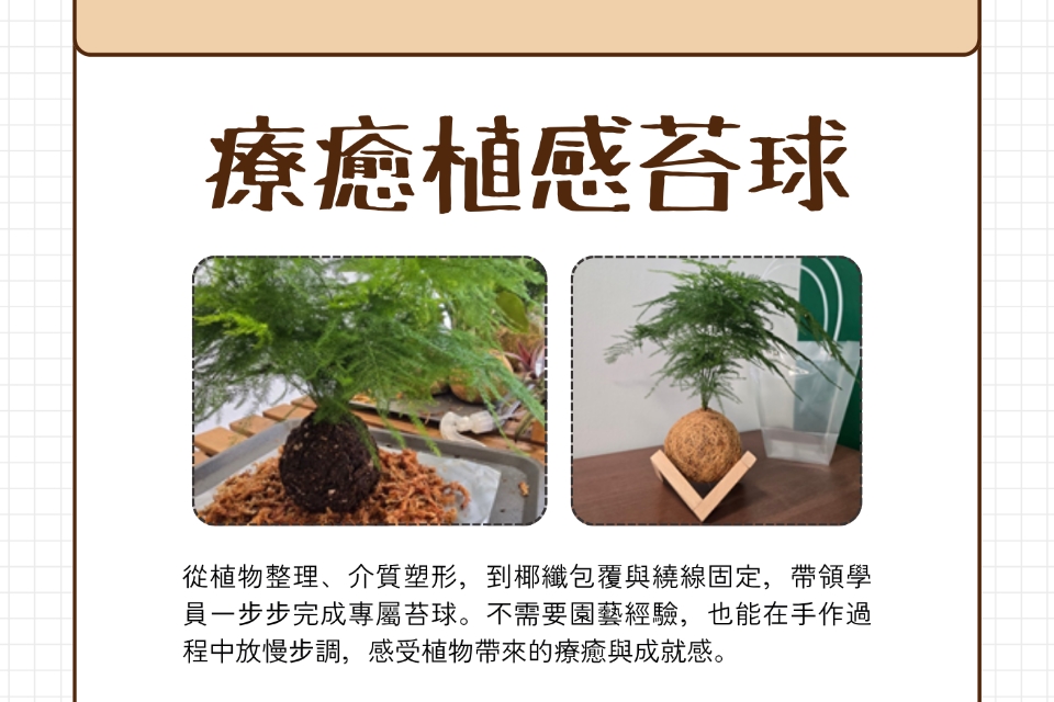 【八德區-景雲分館】11/7(六)13:30-16:00療癒植感苔球