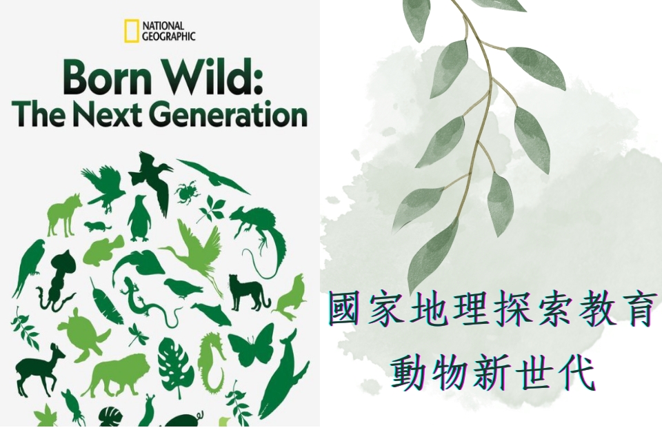 國家地理探索教育之動物新世代= BORN WILD :The Next  Generation